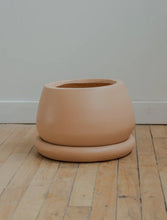 Load image into Gallery viewer, Audrey Fig in Terracotta Pot
