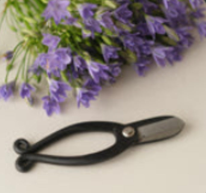 Ikebana scissor