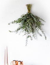 Load image into Gallery viewer, Fresh Mixed Eucalyptus Bouquet
