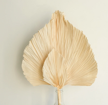 Load image into Gallery viewer, Bleached Fan Leaf
